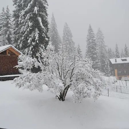 Casa Costantini Cadore Borca di Cadore